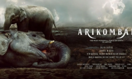 “Unveiling the Untamed: Arikomban – The Legend of Chinnakkanal”